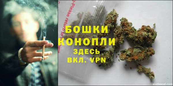СК Арсеньев