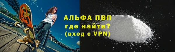 прущие грибы Козельск