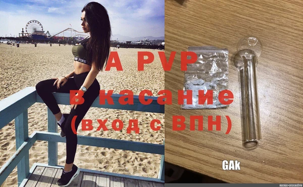 СК Арсеньев