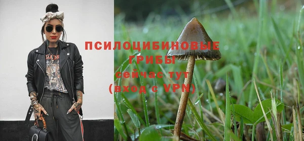СК Арсеньев