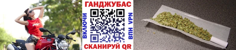 Канабис план  дарк нет формула  Новосиль 